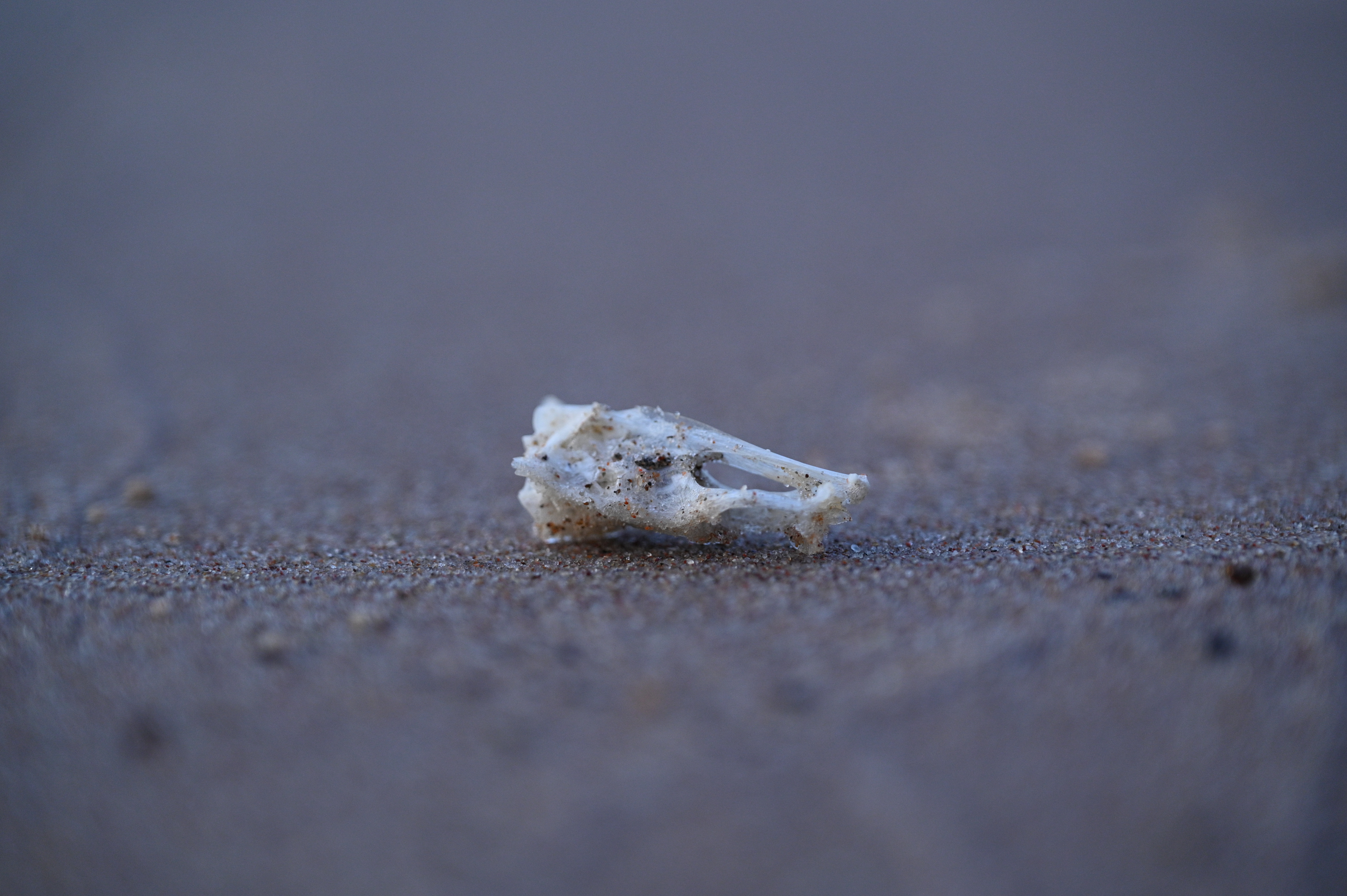 2025/07/09-14 - trip/DSC_0635.JPG